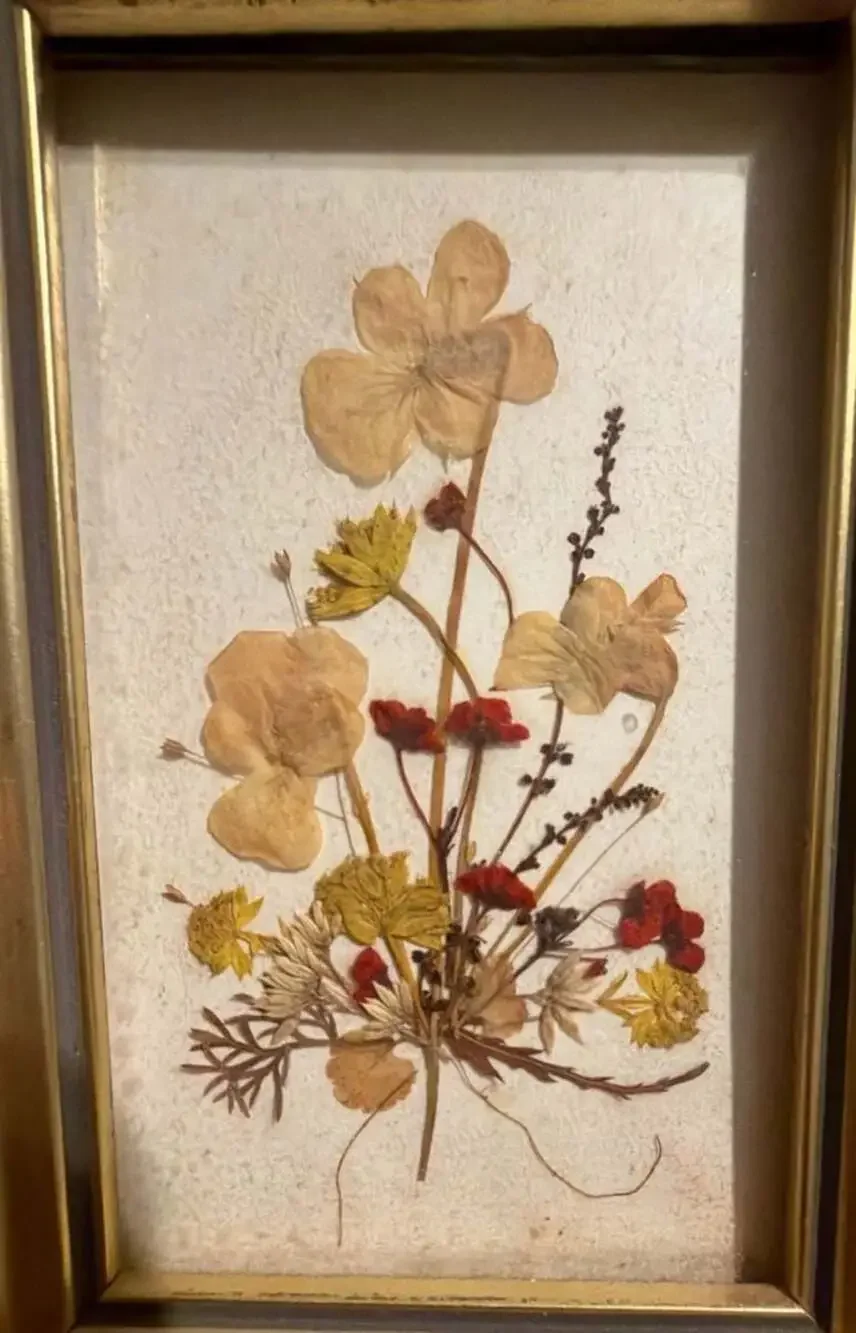 Reichlin Handmade Swiss Pressed Flower Art in Gold Frame